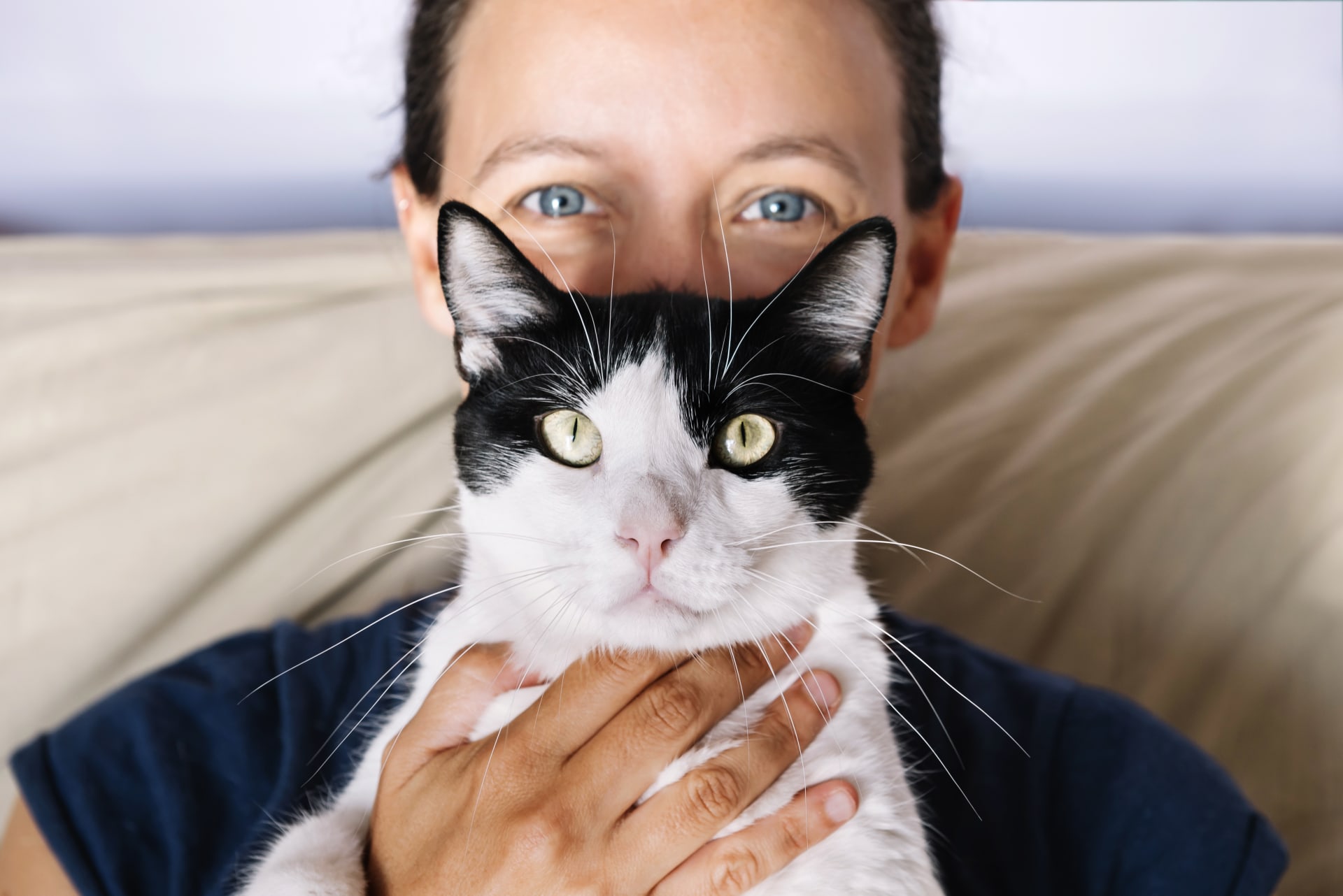 Jaké jsou předsudky lidí vůči majitelům koček?