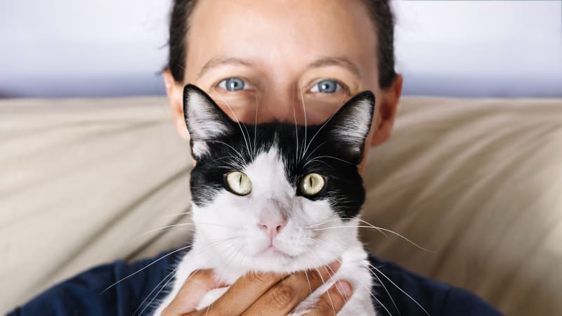 Předsudky versus realita: O majitelích koček se povídá mnohé, víte jací jsou doopravdy? 