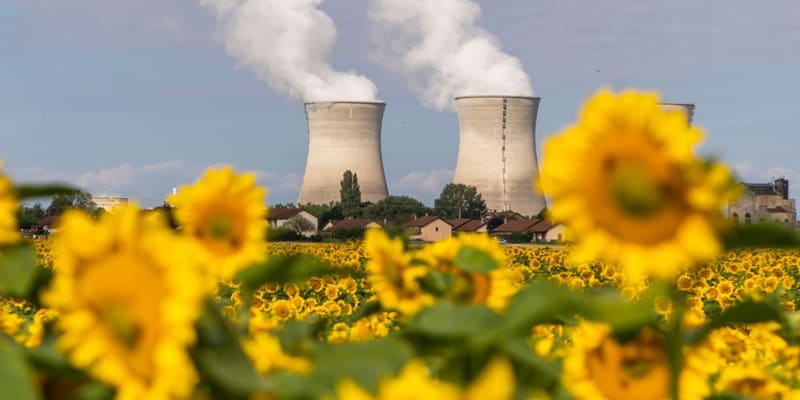 Slunečnice se objevují u jaderných elektráren