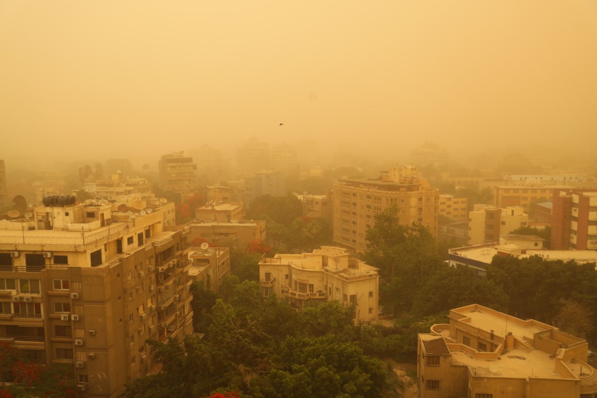 Egypt, zejména Káhiru, ochromila písečná bouře. 