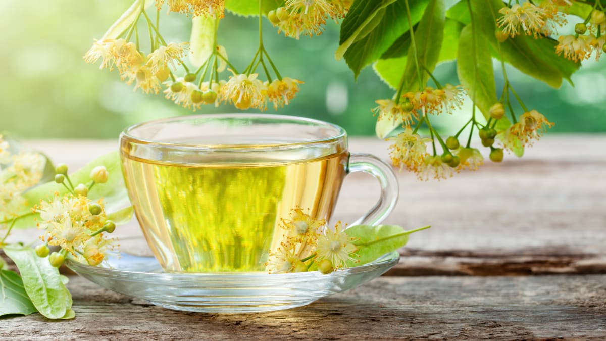 Lipový květ využijete na báječný čaj