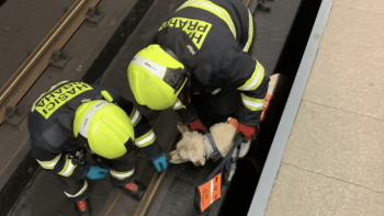 Nevidomá žena spadla do kolejiště metra i s vodicím psem. Zasahovala záchranka i veterinář 