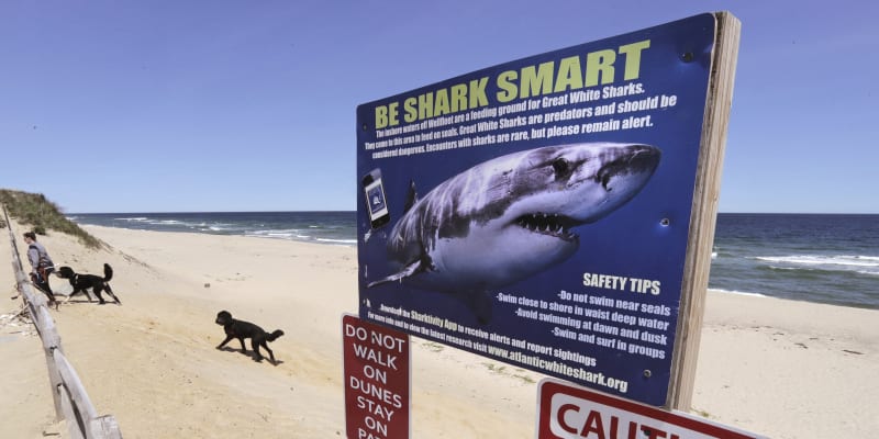 Cedule varuje před útokem žraloků.