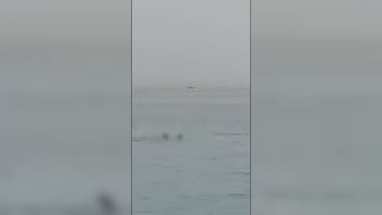 Hrozivé detaily útoku žraloka v Hurghadě: Promluvil otec, jemuž Vladimir zemřel před očima