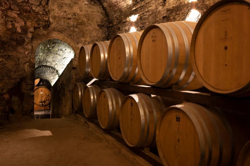 Růžové víno má v České republice dlouholetou tradici.