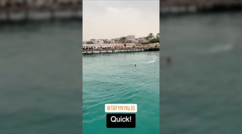 Napadení žralokem v Egyptské Hurghadě