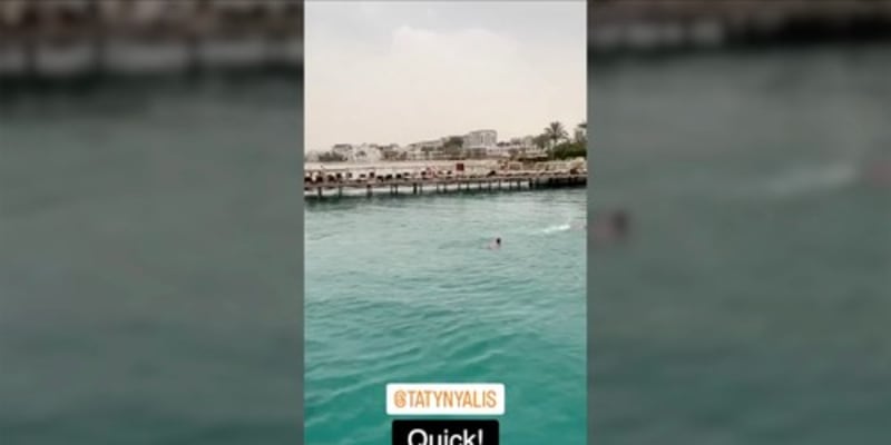 Napadení žralokem v Egyptské Hurghadě