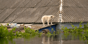 Ukrajinské vesnice jsou pod vodou a odříznuté od světa. Dobrovolníci zachraňují, co se dá