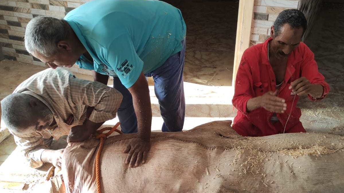 Mumifikace žraloka, který v Egyptě zabil ruského turistu