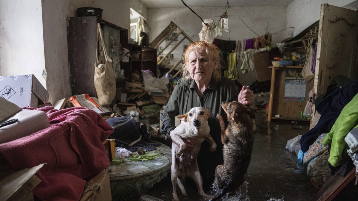 Záplavám v Chersonské oblasti neunikli ani domácí mazlíčci. Někteří se dočkali záchrany, jiní takové štěstí neměli.