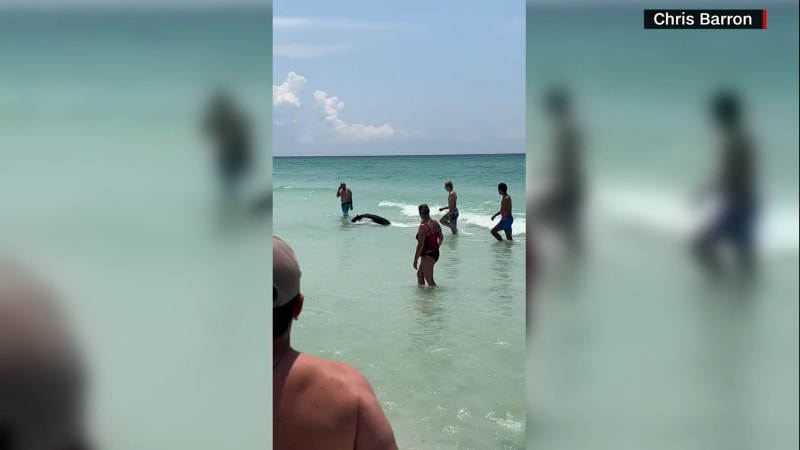 Navstevniky plaze na Floride prekvapil medved.