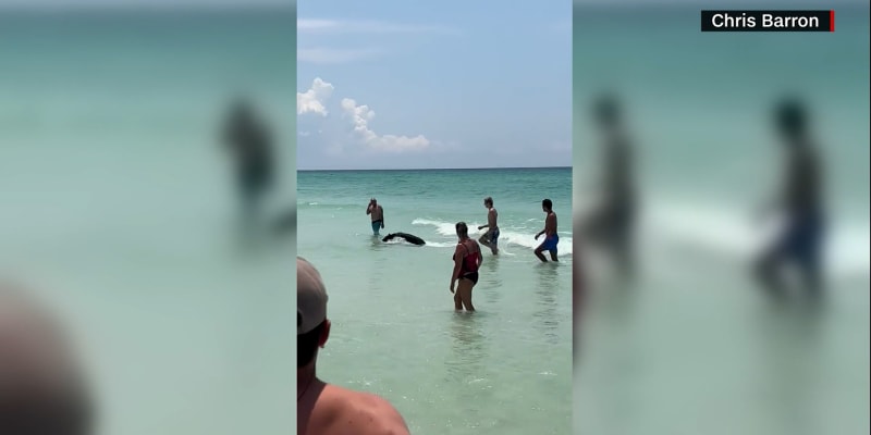 Navstevniky plaze na Floride prekvapil medved.