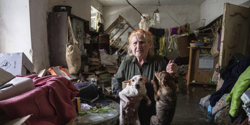 Záplavám v Chersonské oblasti neunikli ani domácí mazlíčci. Někteří se dočkali záchrany, jiní takové štěstí neměli.