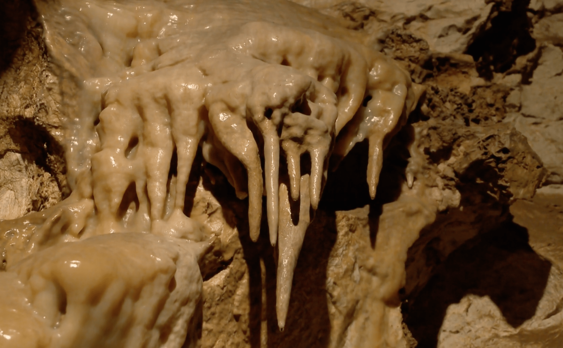 Krápníky v Bozkovských jeskyních