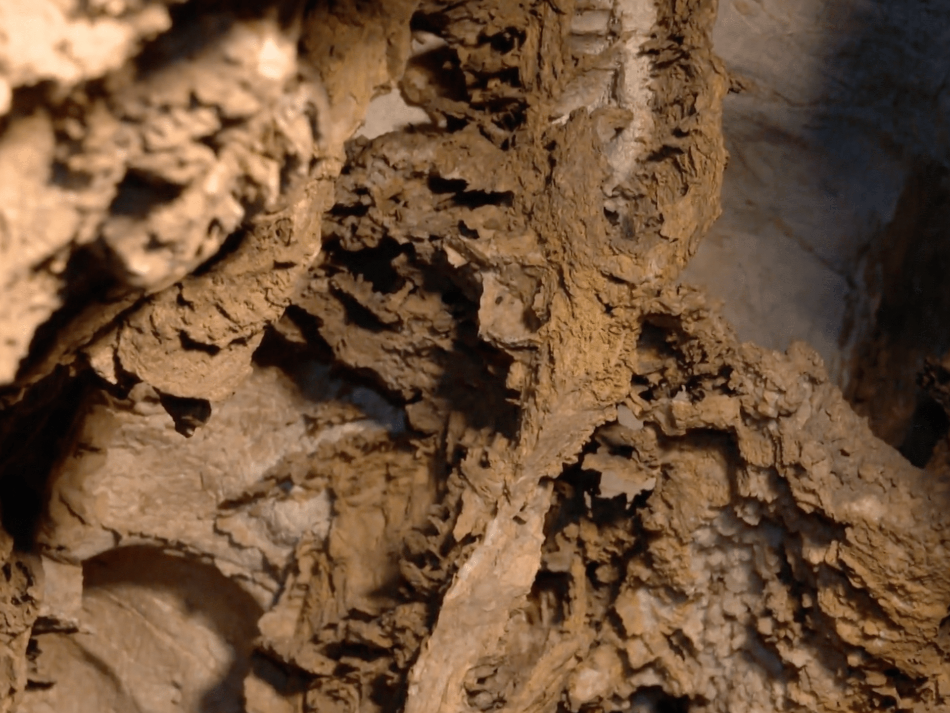 Vápencové římsy v Bozkovských jeskyních
