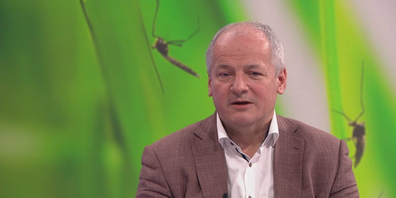 Epidemiolog Roman Prymula o komárech v pořadu Nový den na CNN Prima NEWS