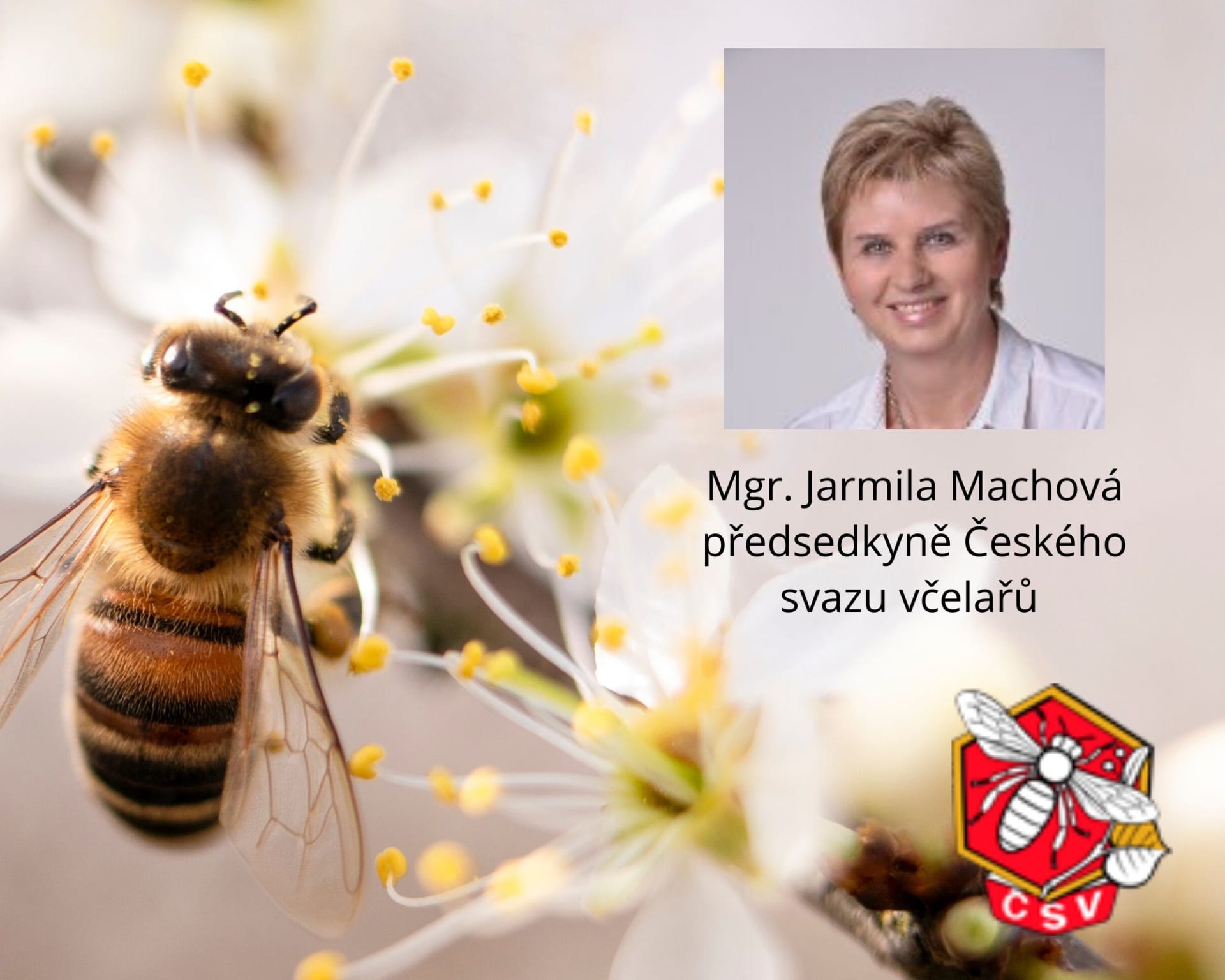Jarmila Machová předsedkyně Českého svazu včelařů