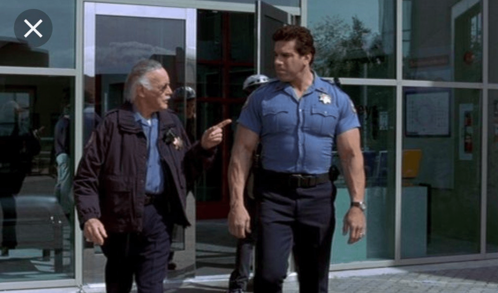 Stan Lee ve filmu Hulk