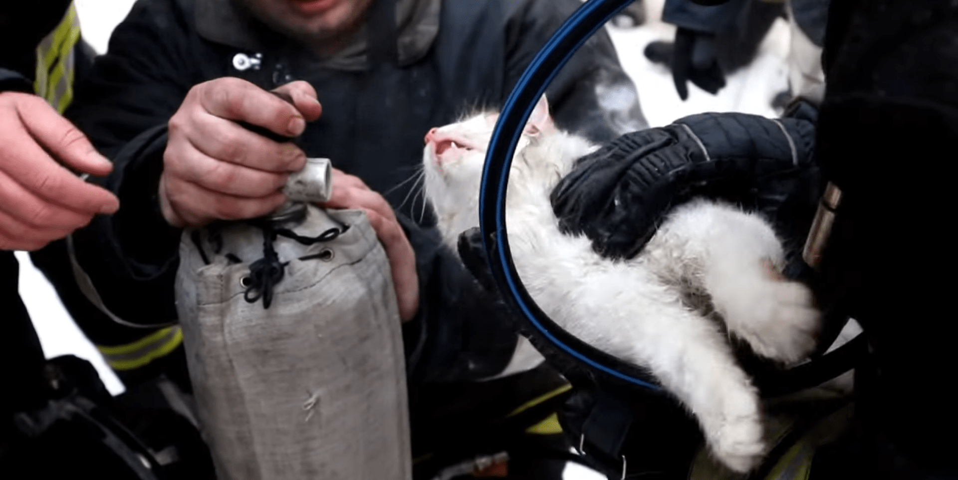 Hasiči resuscitují kočku, kterou vynesli z hořícího domu