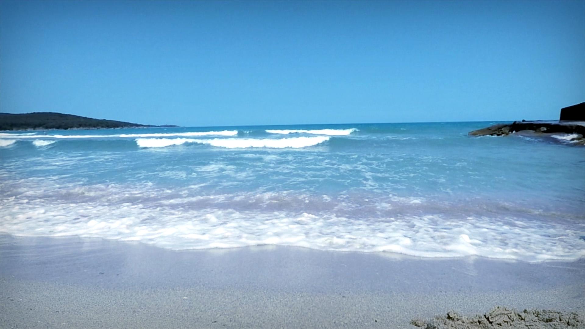 Moře u Kanárských ostrovů je zamořené sinicemi