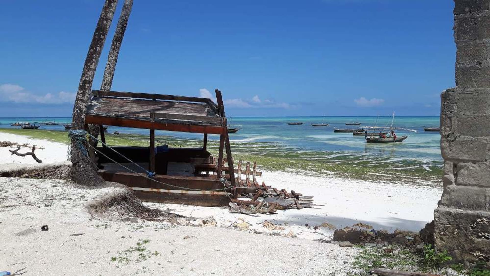 Češi na cestách - Zanzibar
