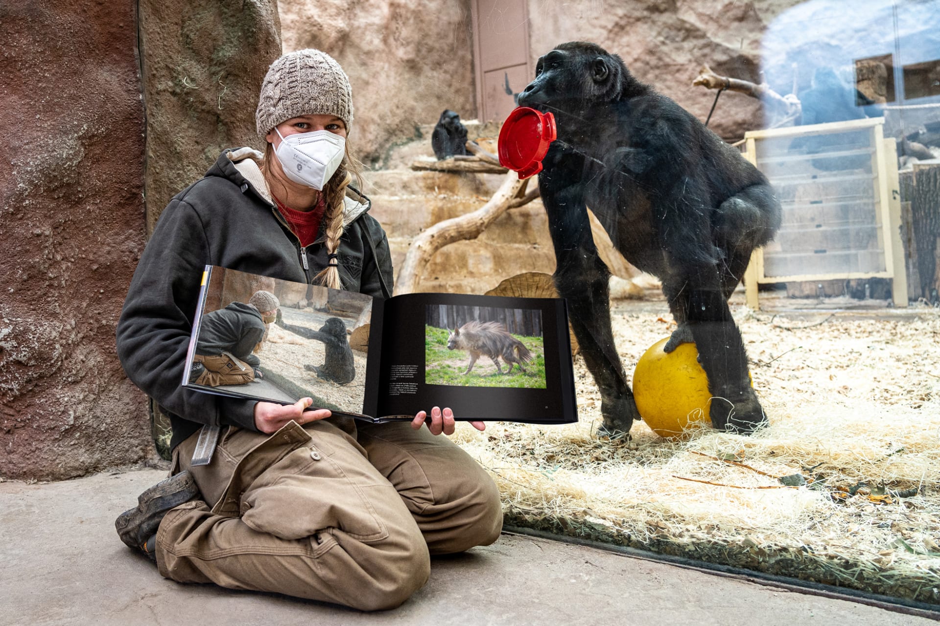 Chovatelka Lucie Holatová s knihou Ztichlá zoo v Pavilonu goril