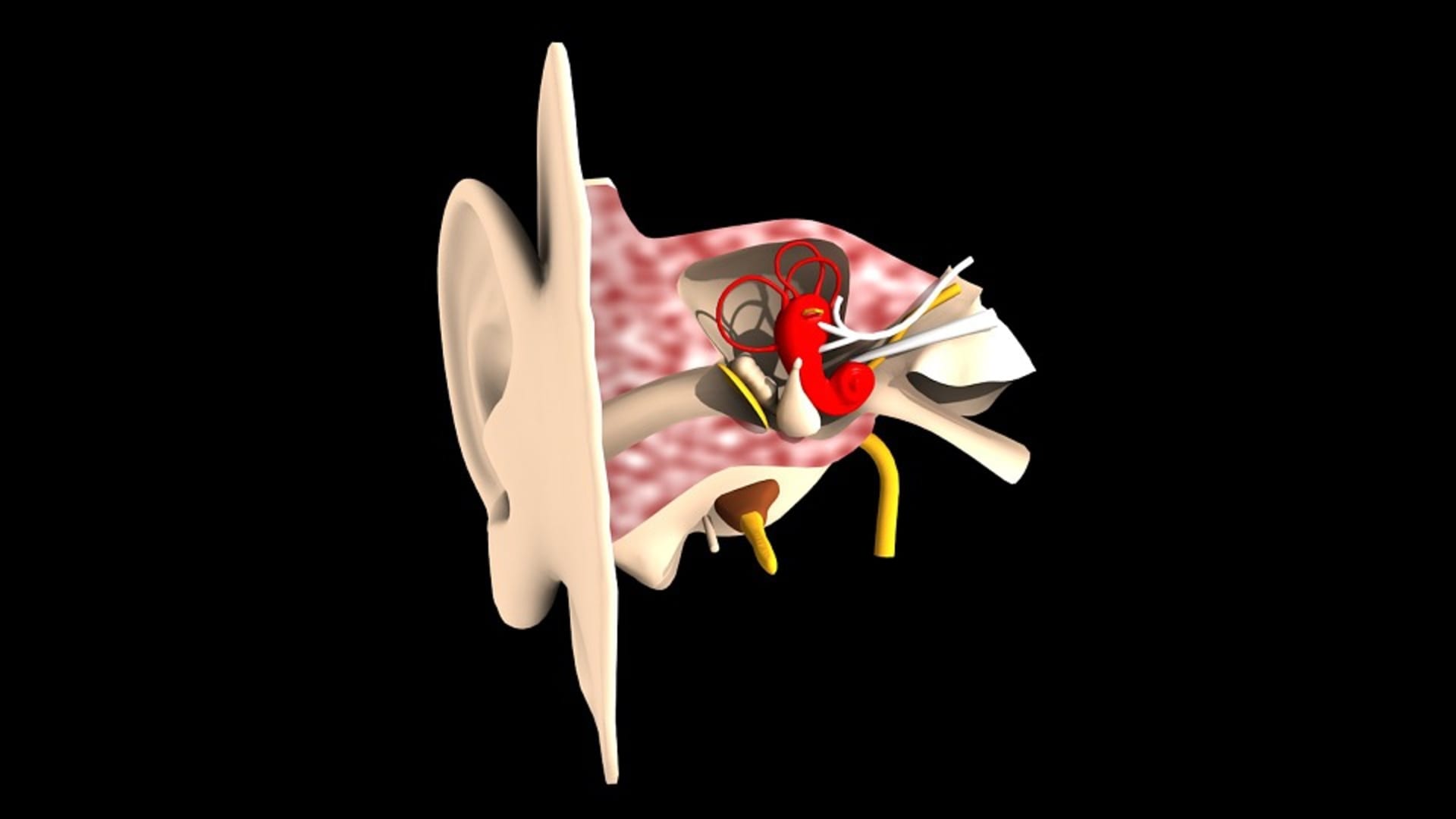 ilustrační foto- sluch