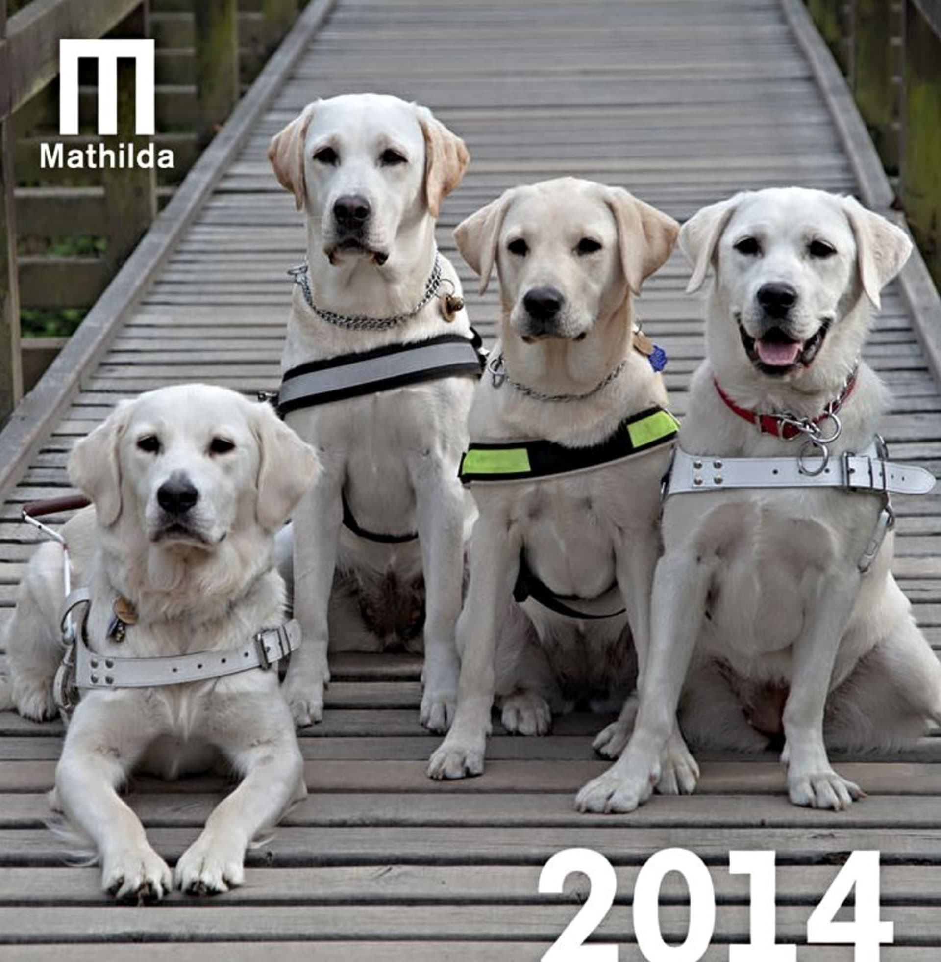 Kalendář Mathilda 2014