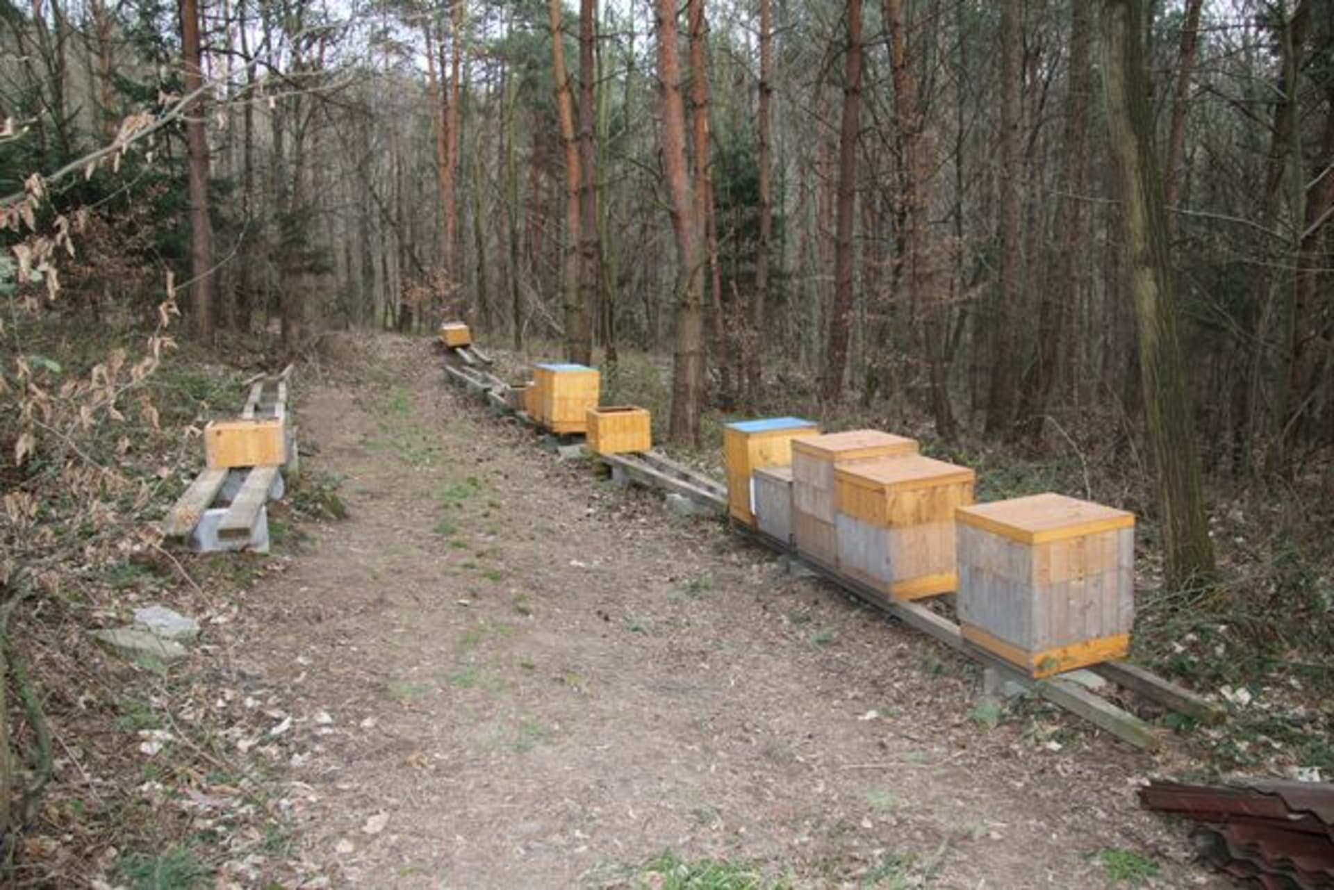 65 úlů zmizelo z Roštína na Kroměřížsku