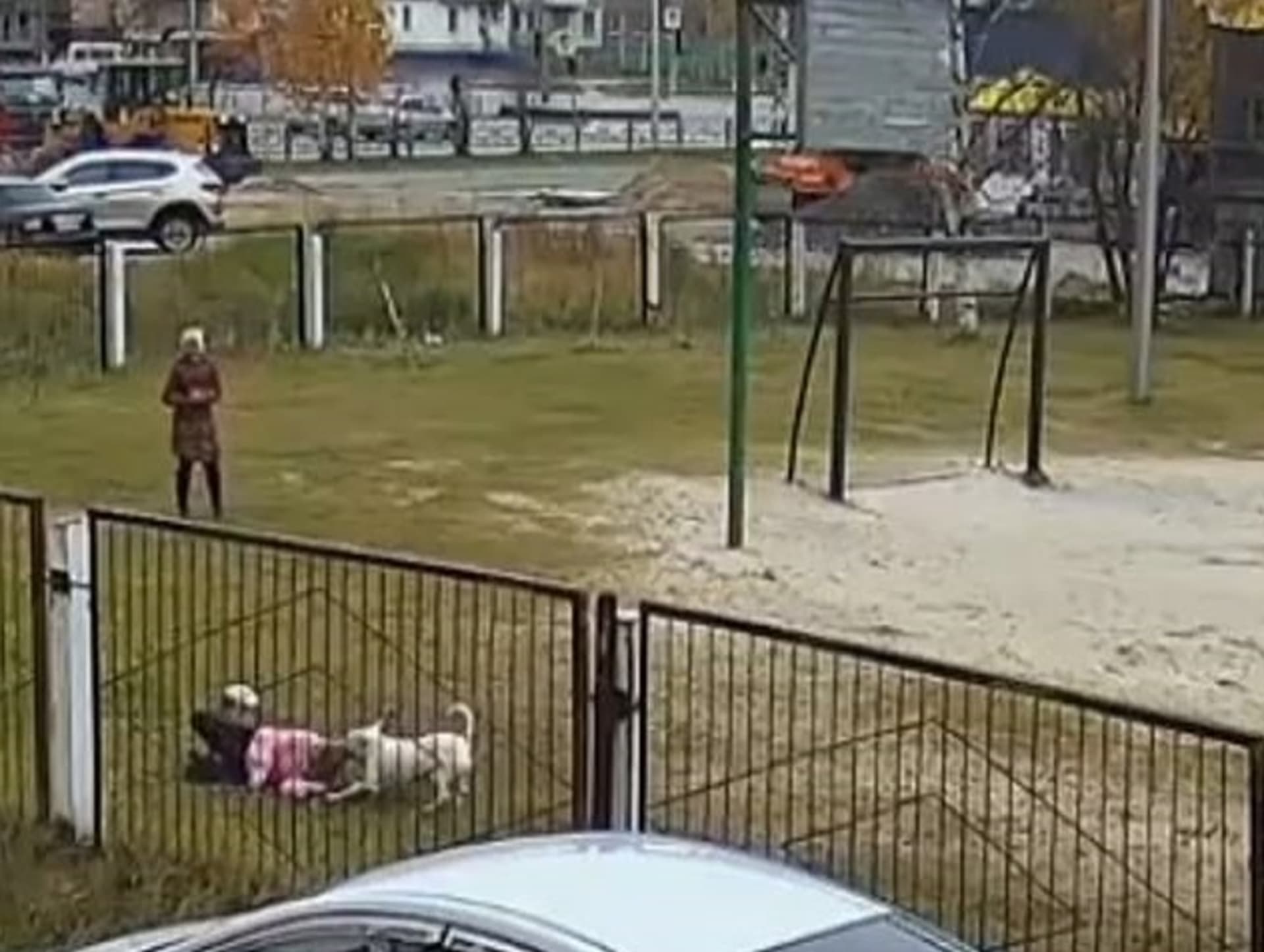 Pes napadl na hřišti děti