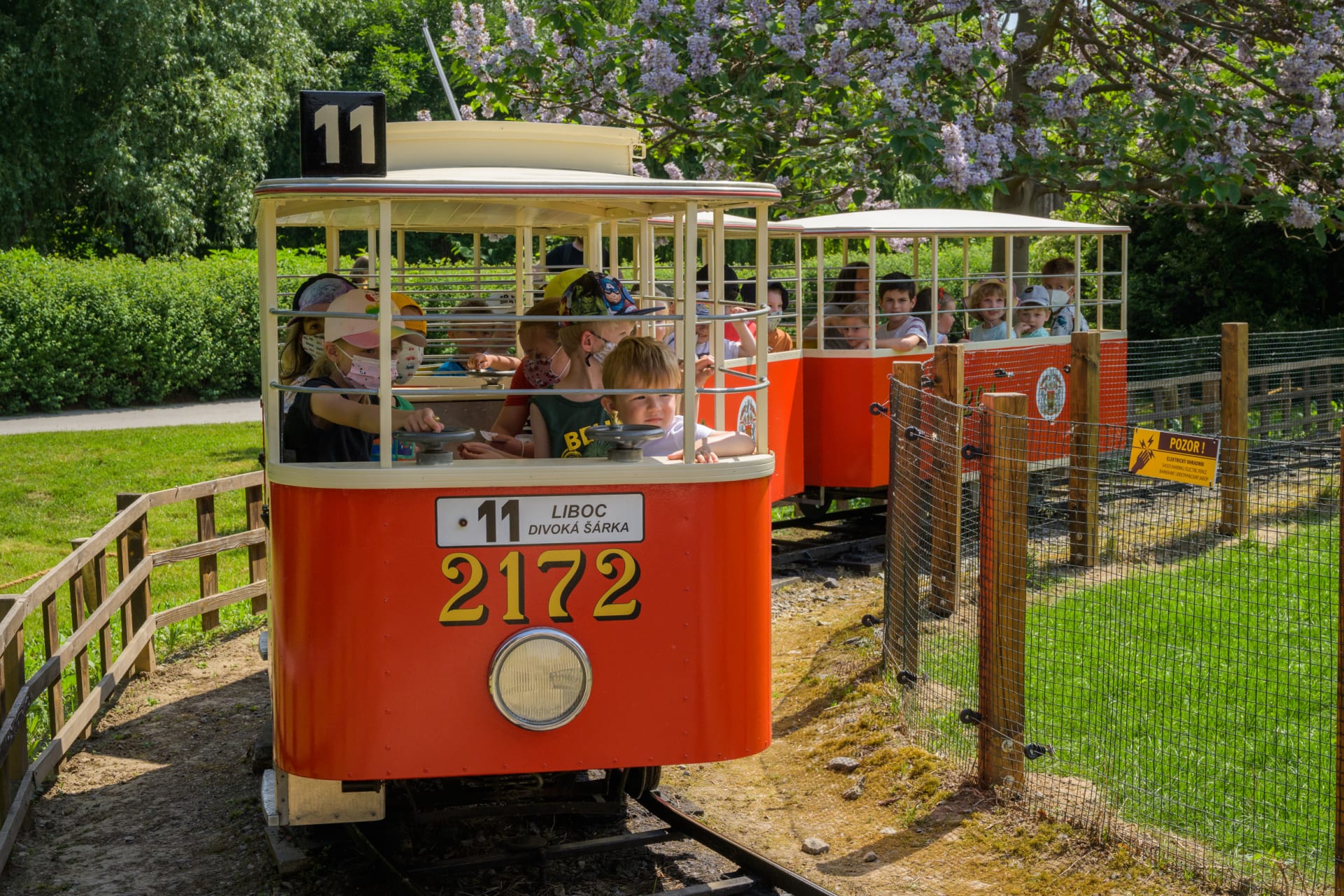 Legendární tramvajka je zpět v Zoo Praha!
