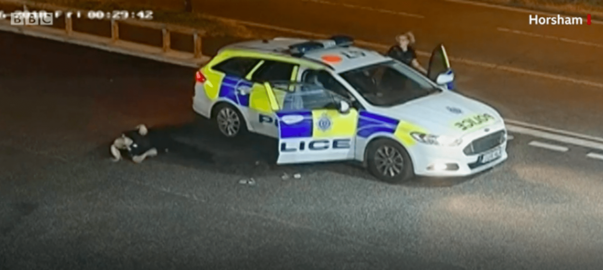zloděj nasedá do policejního auta poté, co vyhodil policistku ven