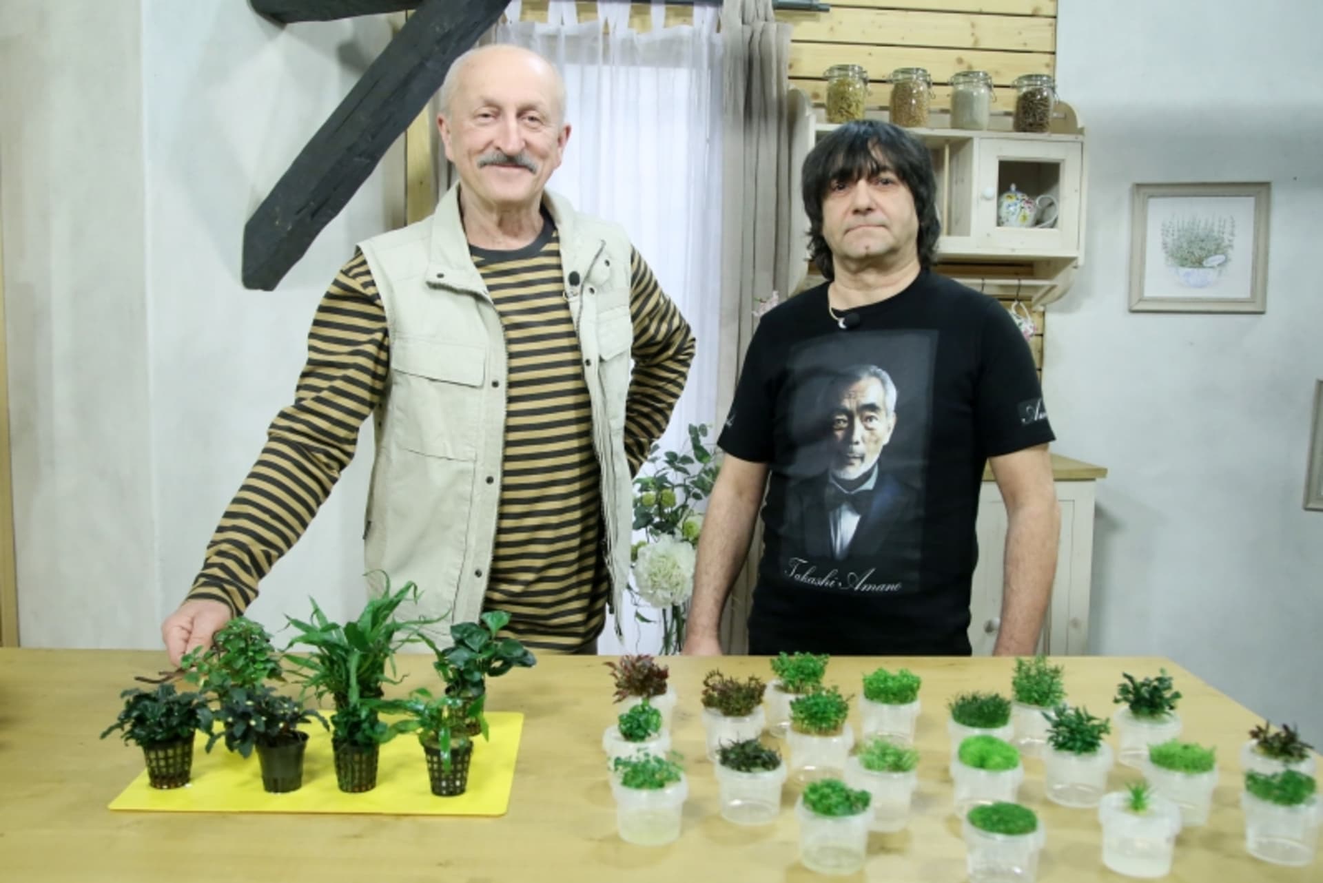 Naučte se vyrábět tinktury z kořenů léčivých rostlin