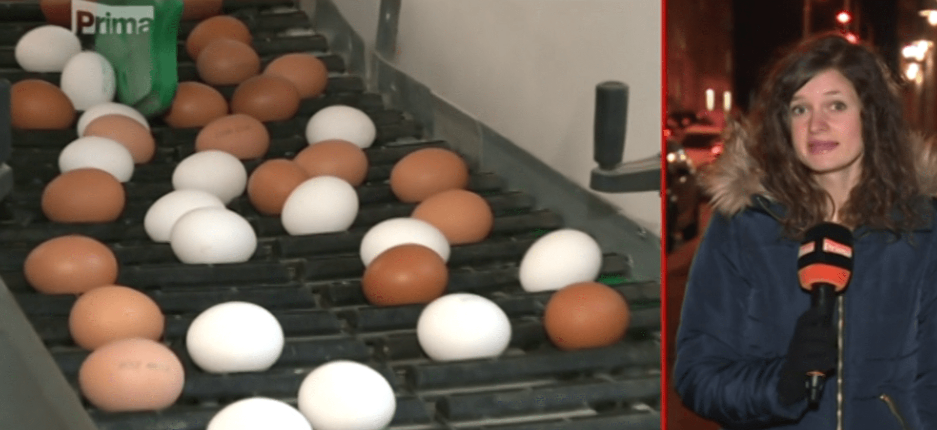 Kvůli kauze s fipronilem zdražila vejce téměř o dvě koruny za kus