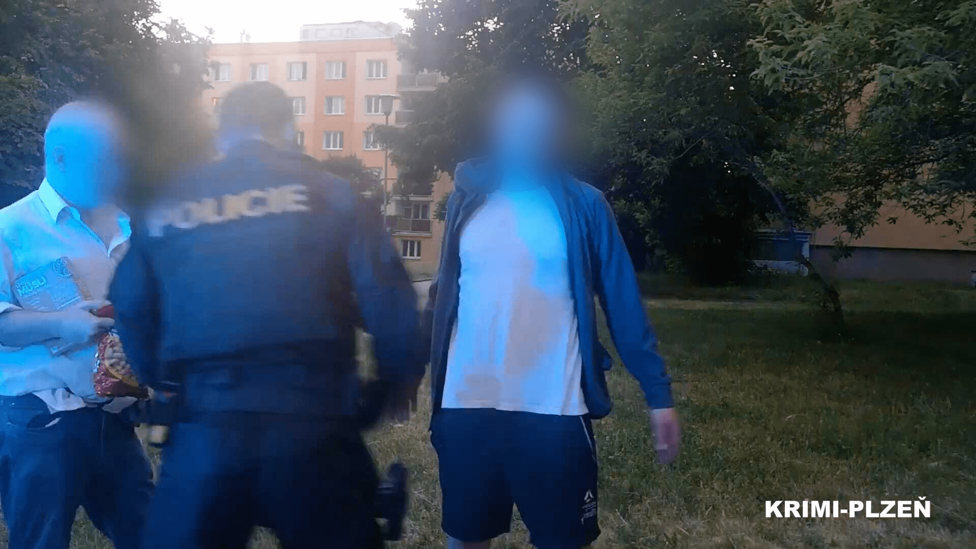 Cizinec v Plzni napadl ženu a muže. Podle svědků vykřikoval, že je Ukrajinec a bojovník od Mariupolu.