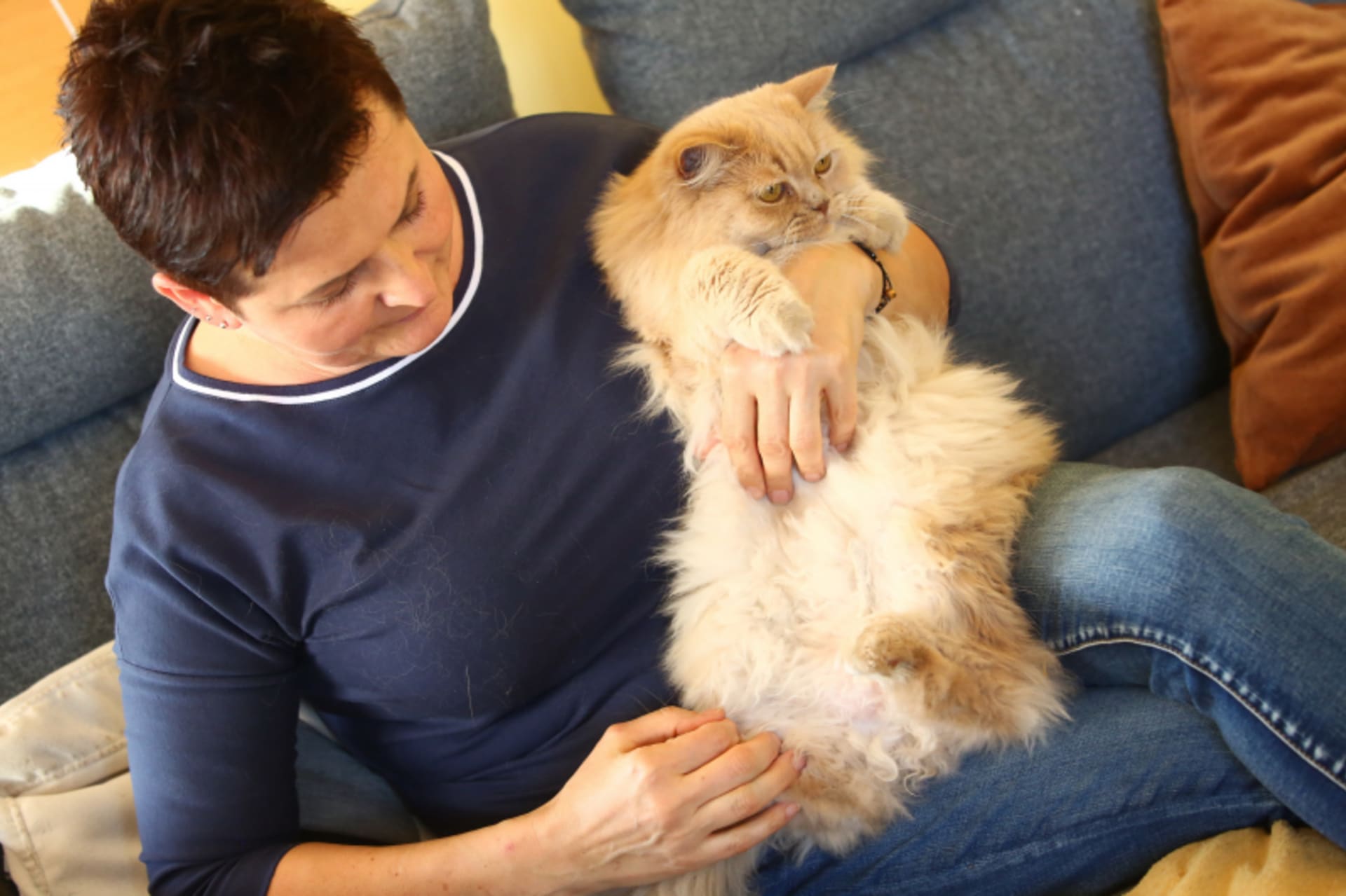 Veterinární poradna se věnuje péči o kočičí seniory