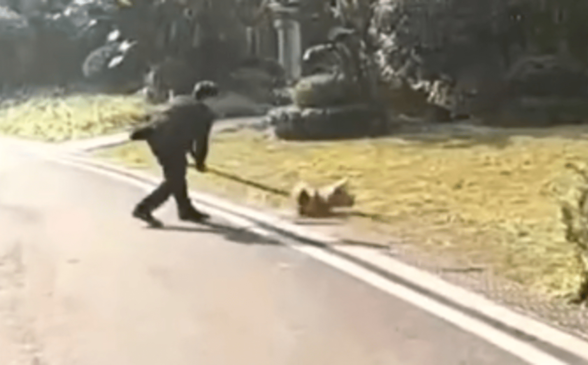Čínská policie zabíjí na ulici psy. Údajně kvůli zamezení šíření koronaviru