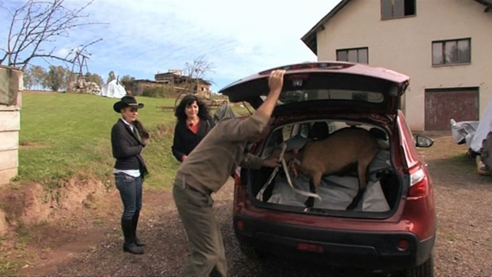 Farmář hledá ženu - Koza v autě
