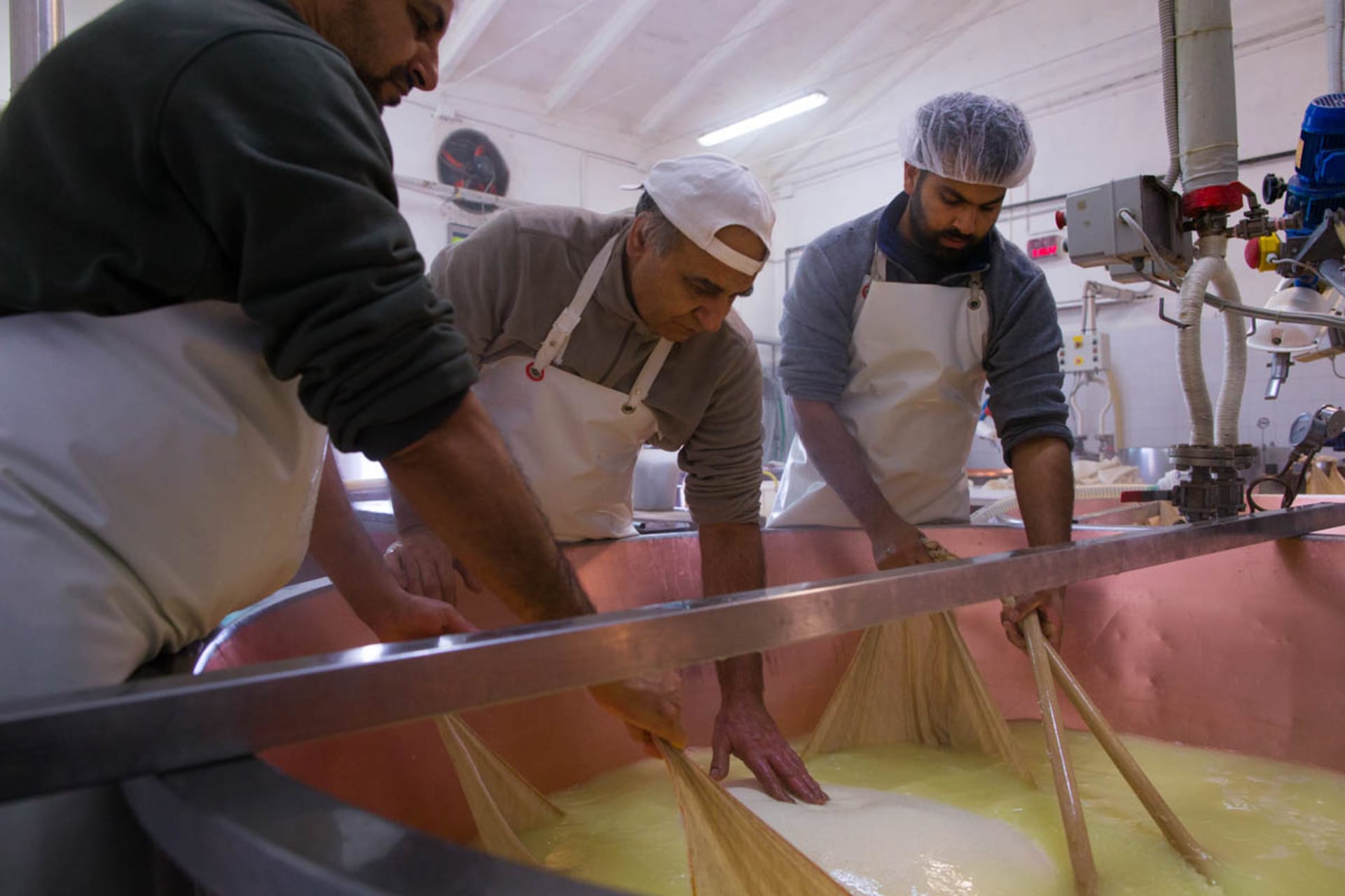 Indové v Itálii vyrábí sýr