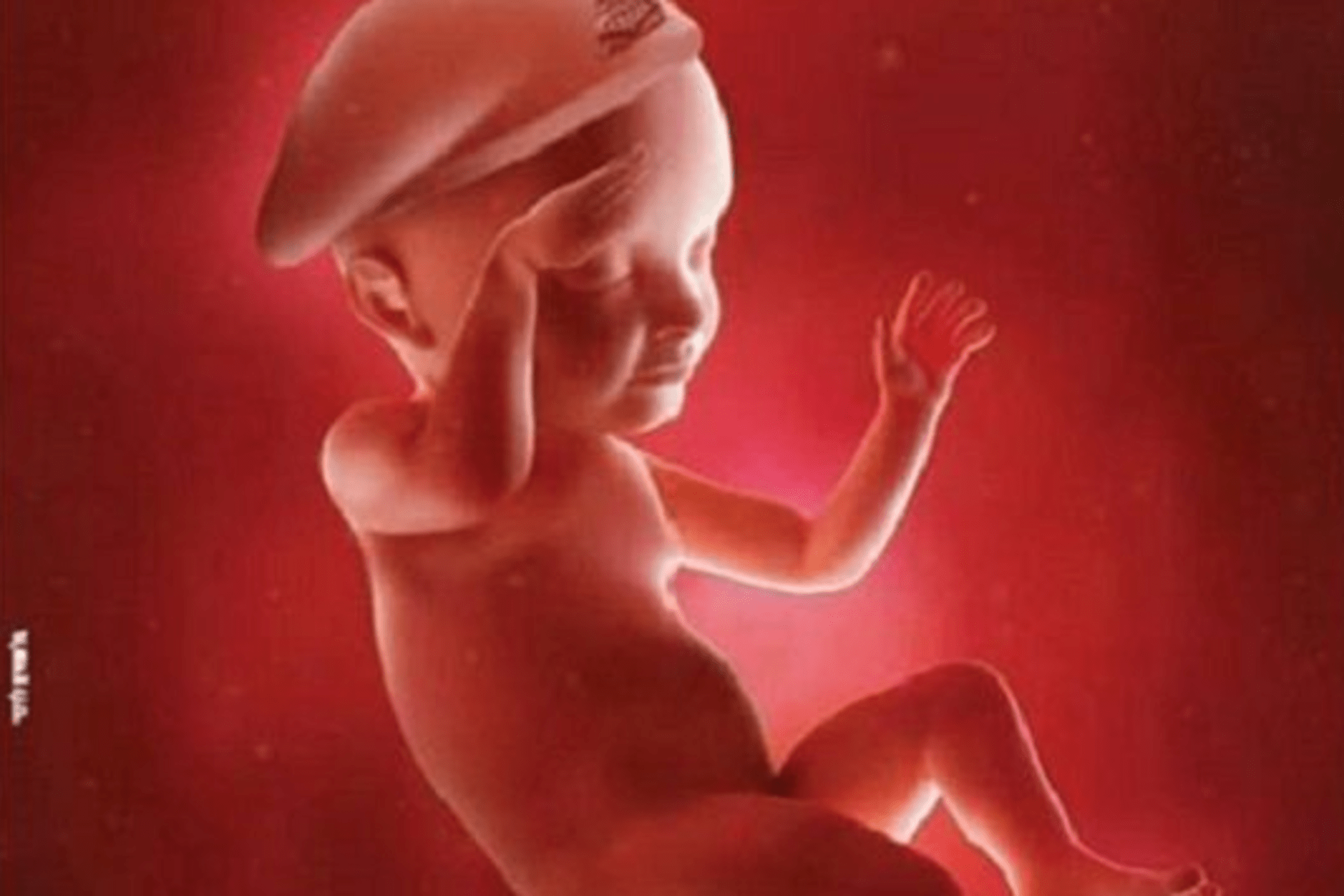 : Ultrazvuk zobrazuje plod dítěte jako salutujícího vojáka