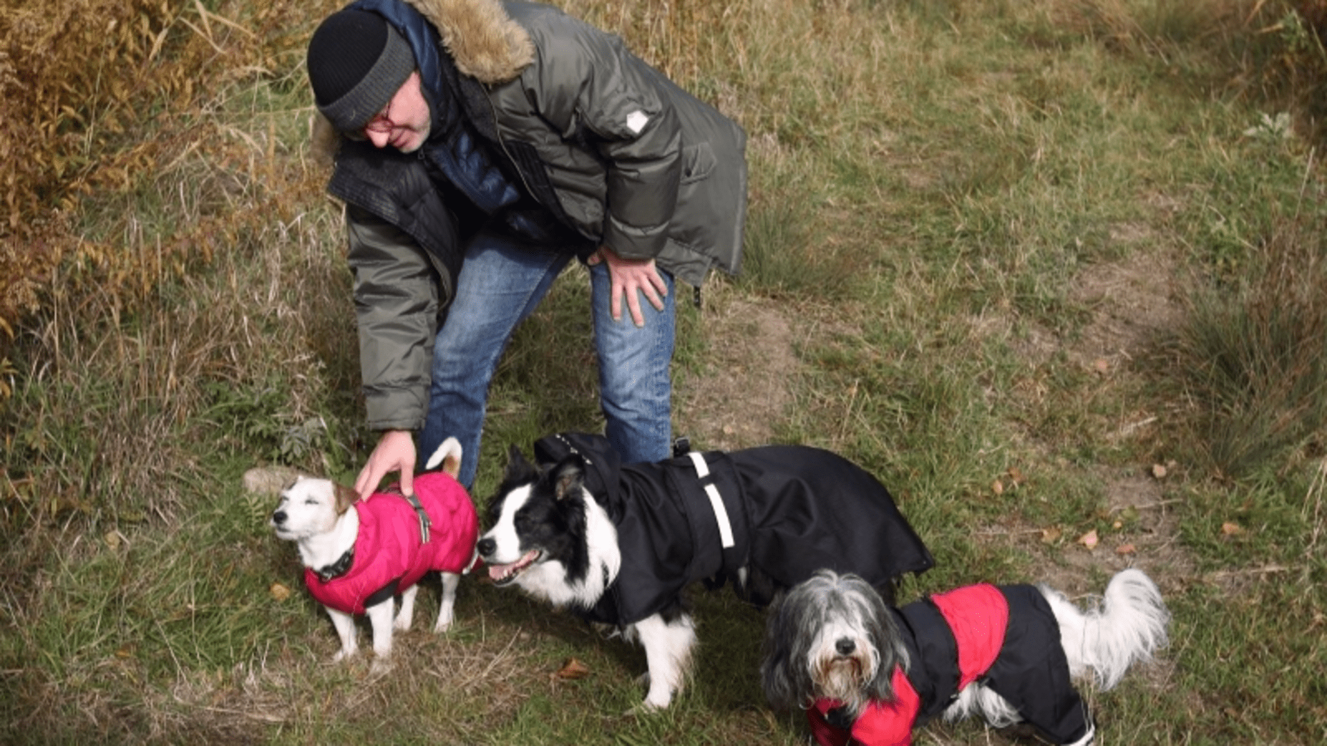 RECEPTÁŘ PRIMA NÁPADŮ: péče o psy v zimním období