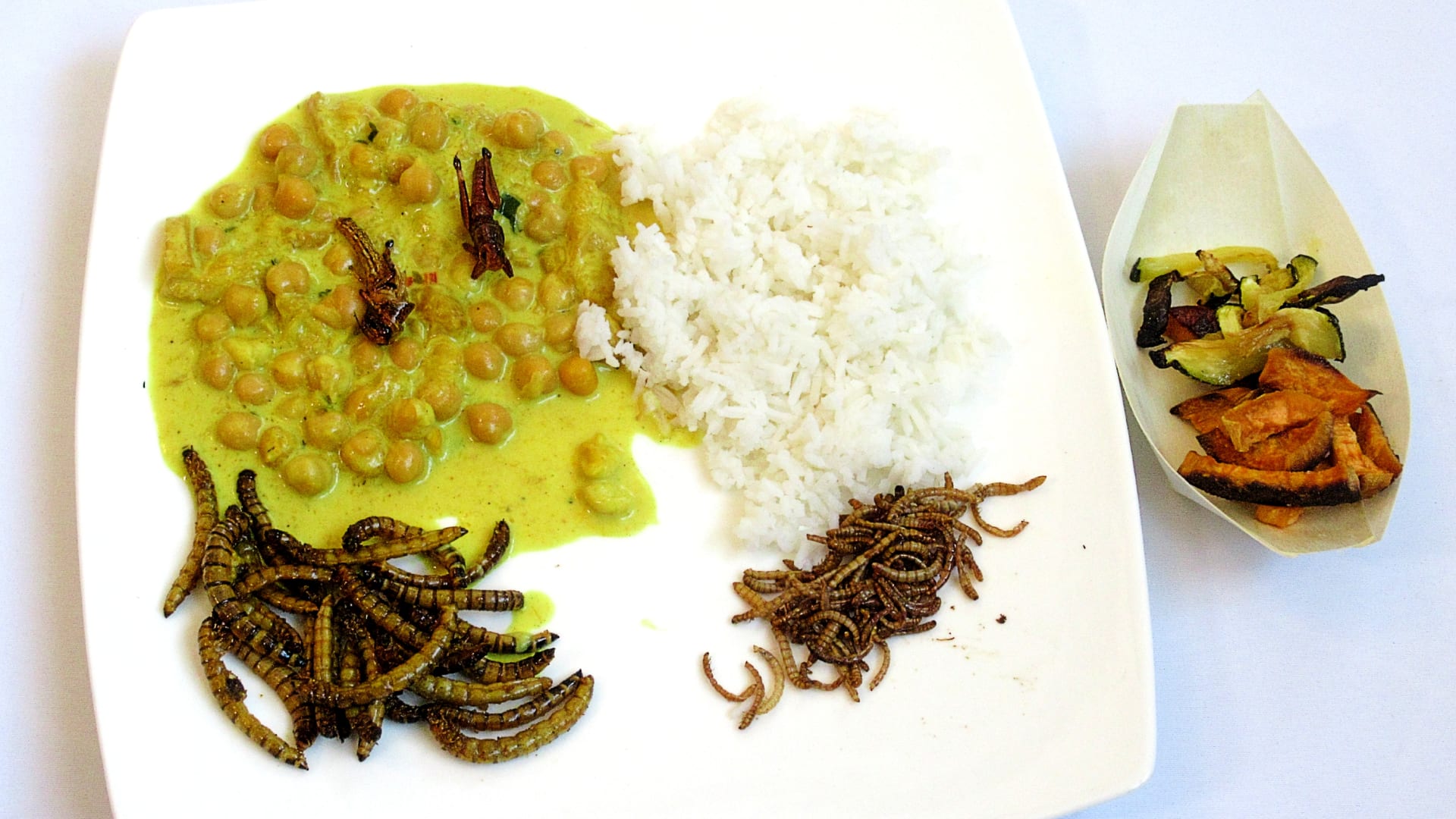 Vzpomínka na Indii (hmyz vícero druhů v pikantní omáčce s kokosovým mlékem, mangem a rýží)