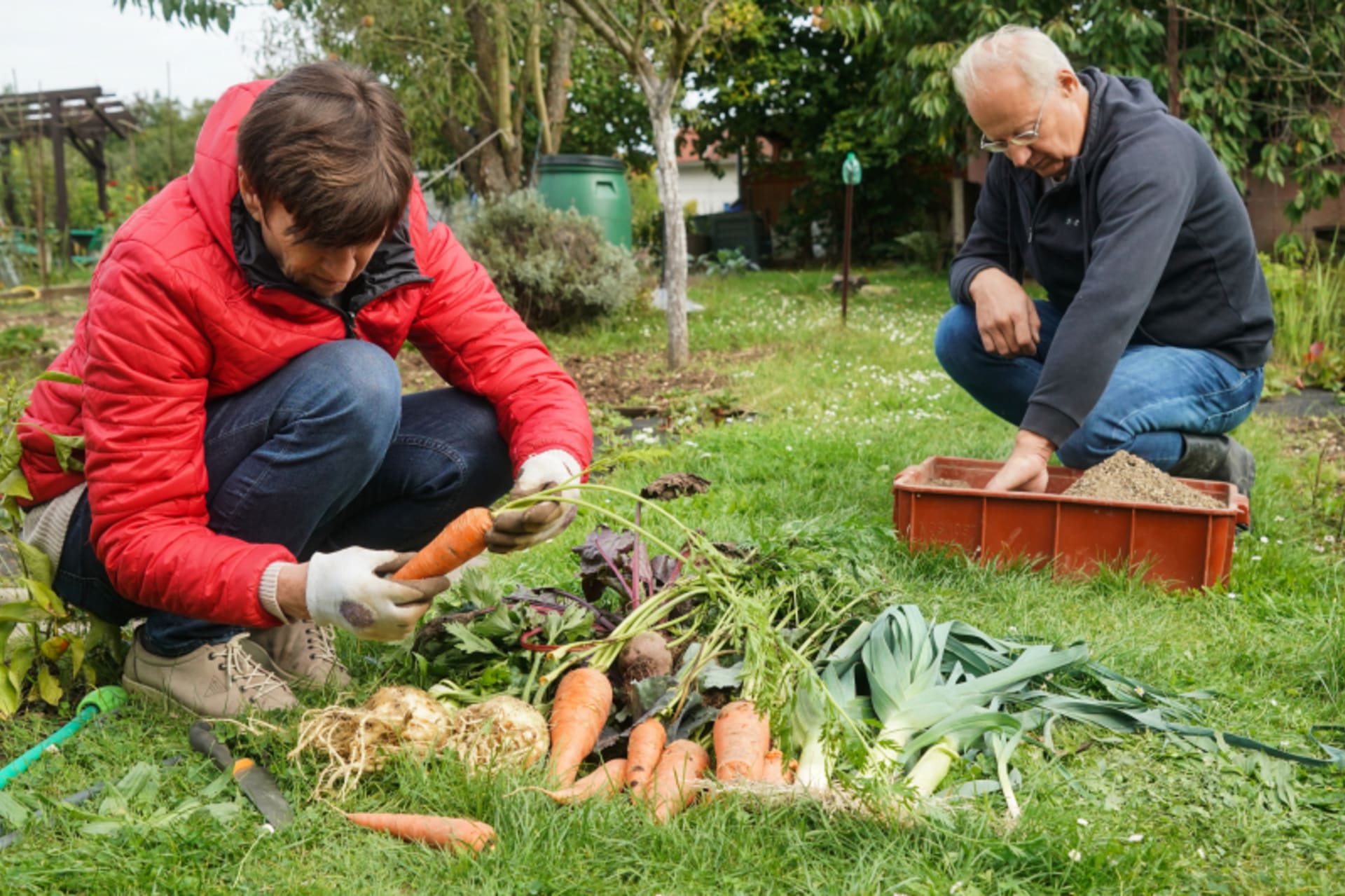 Představíme způsoby, jak uchovat zeleninu přes celou zimu