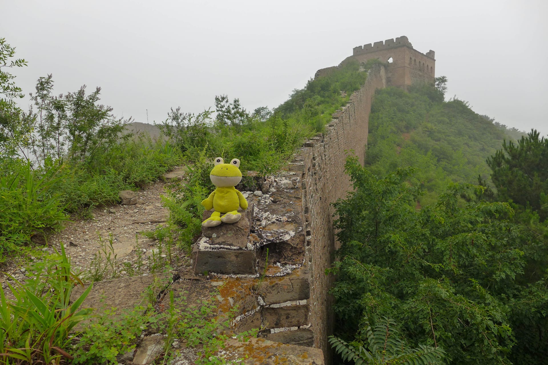 I Drahuš se na Velké čínské zdi líbilo