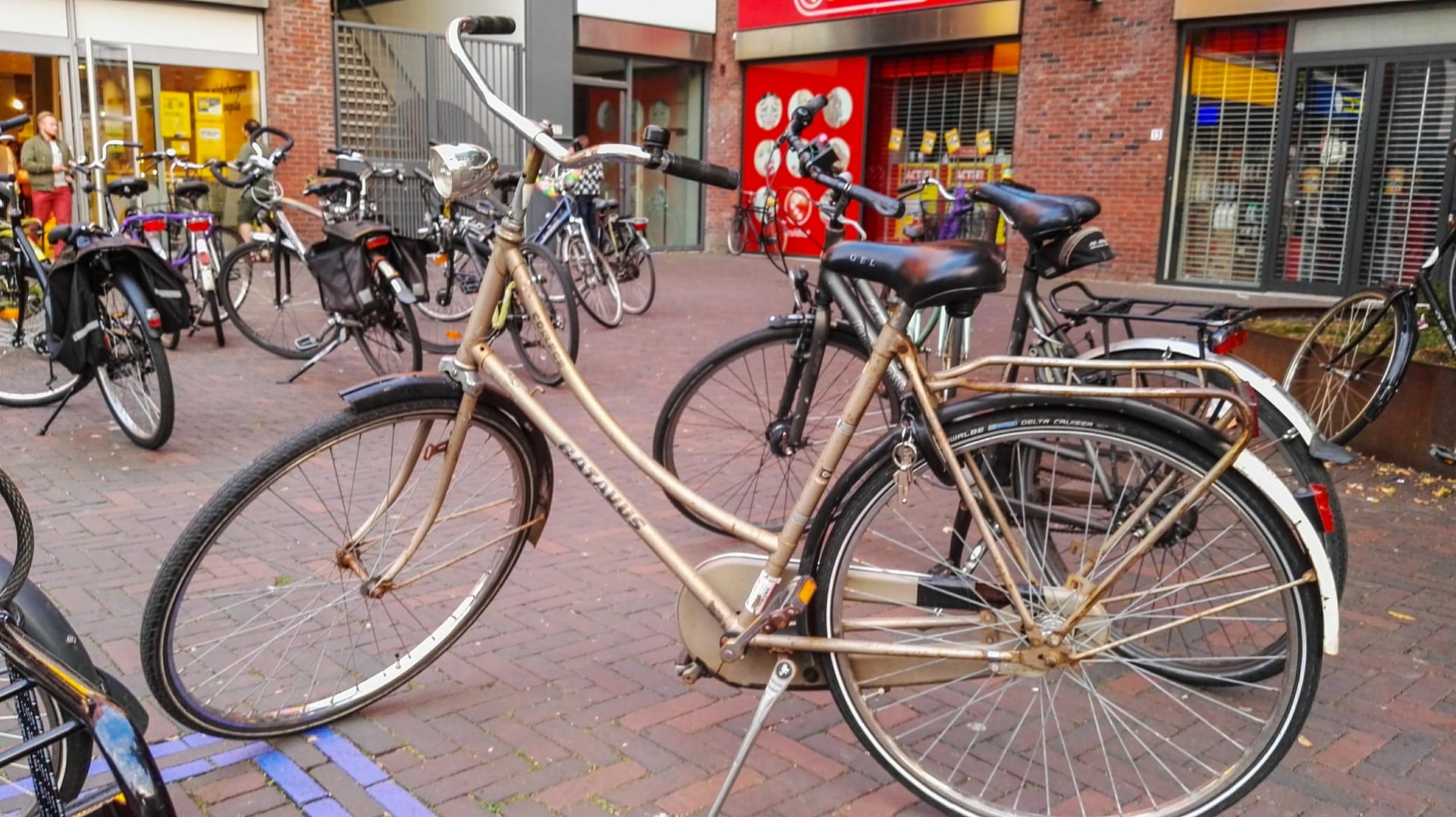 Auta v Nizozemsku nefrčí. Základem je kolo.