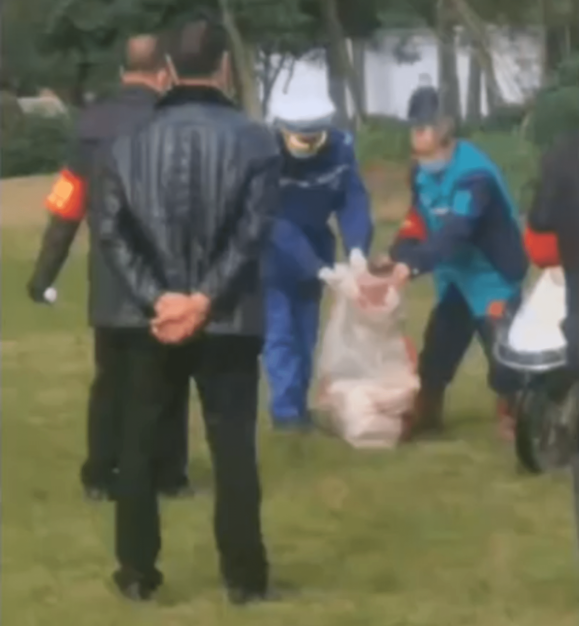 Mrtvé psy hodili čínští policisté do pytle