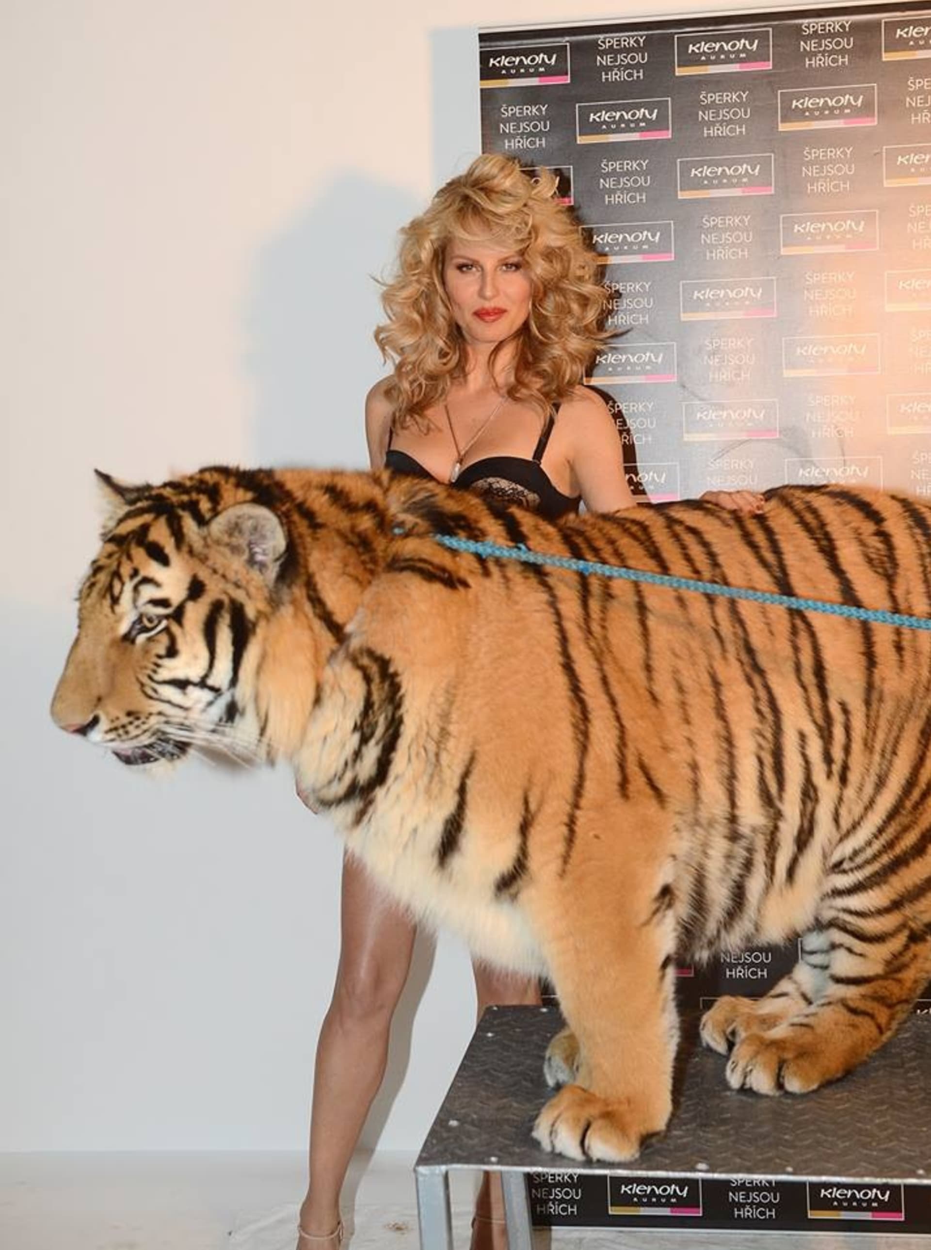 Simona Krainová s tygrem