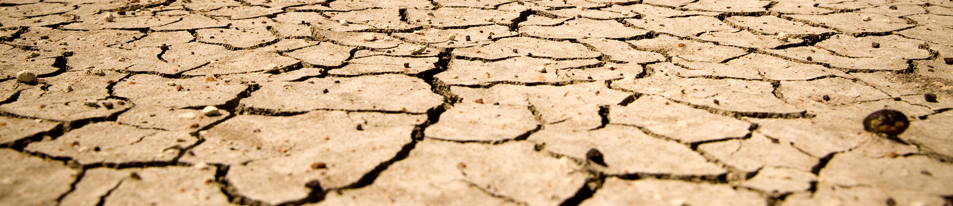 Vláda se suchem nebojuje, tvrdí Nejvyšší kontrolní úřad. Opatření prý zůstávají jen na papíře