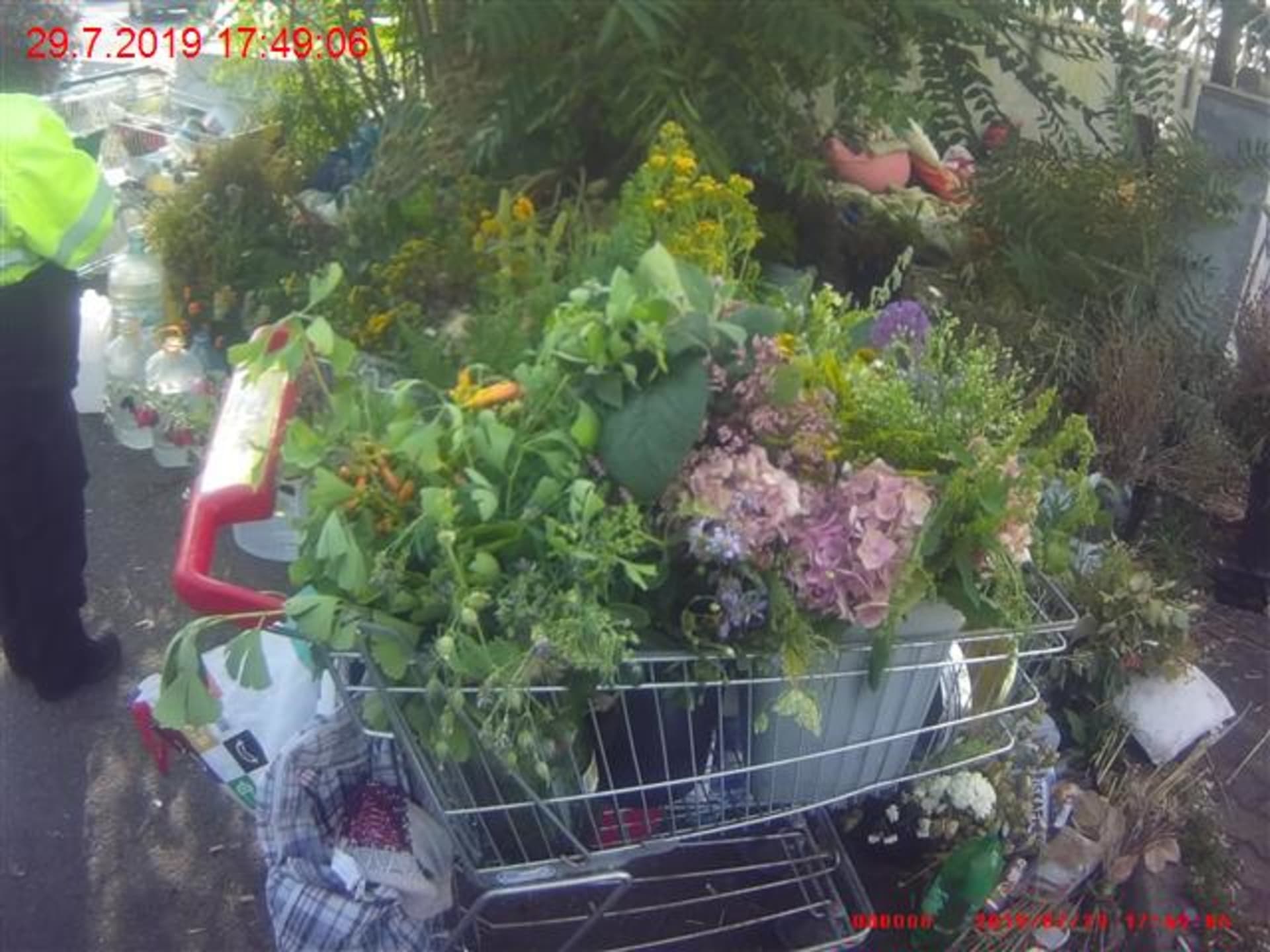 Žena vezla ukradené květiny v nákupním košíku