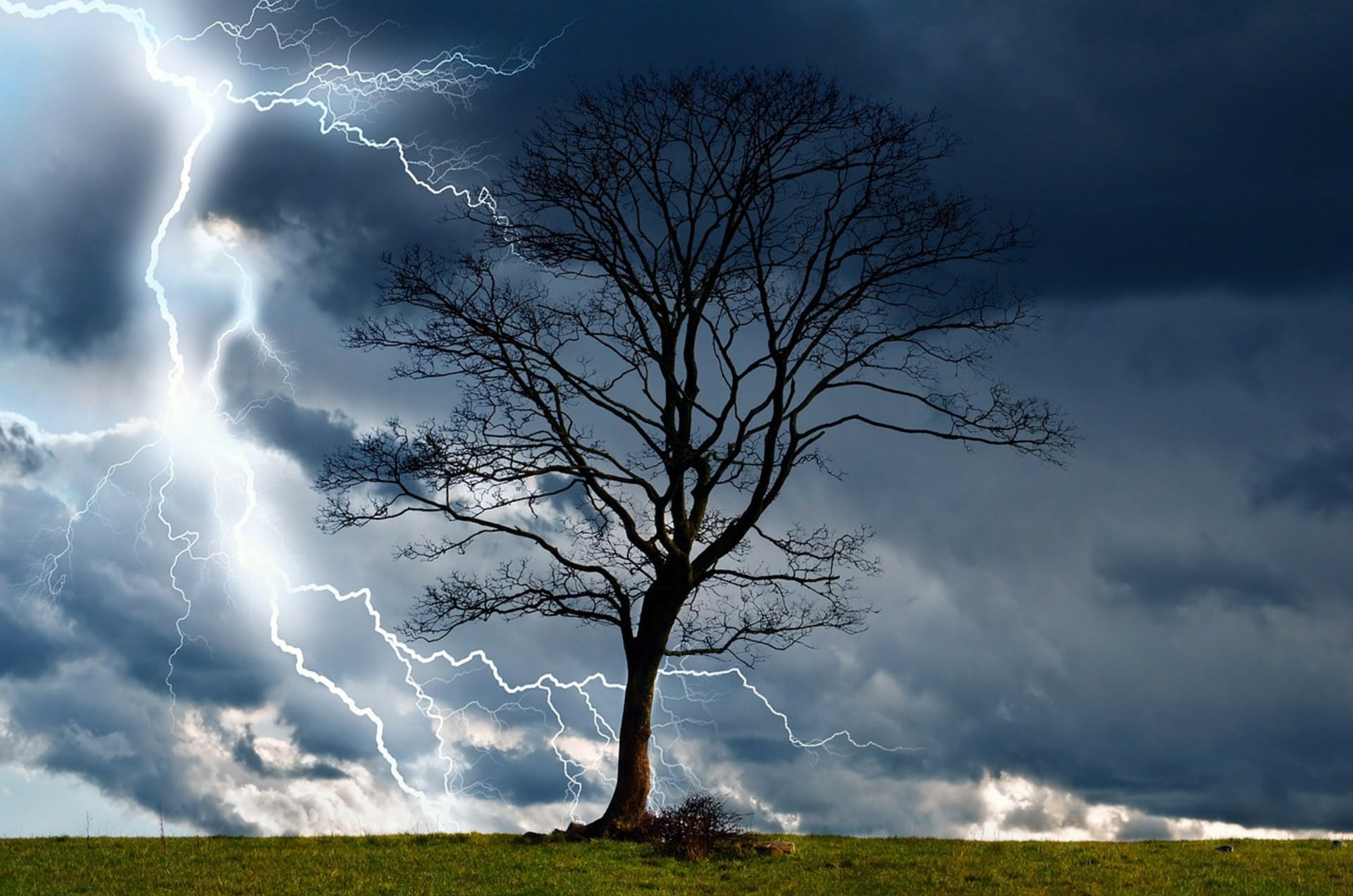 Bouřka, blesk a strom